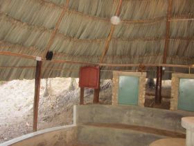 Palapa, a thatched roof, open sided building  in the Cayo District, Belize – Best Places In The World To Retire – International Living